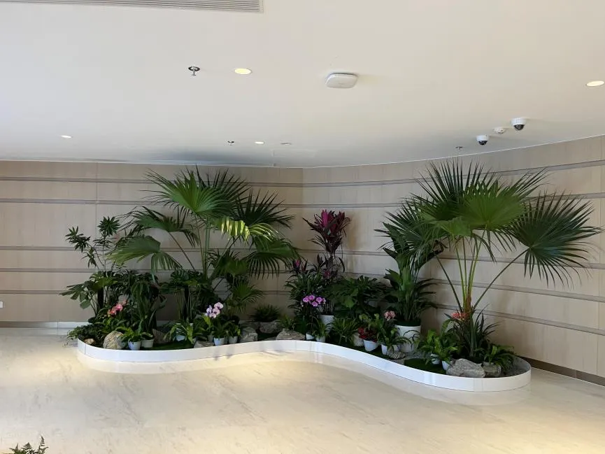 宁波鄞州花卉出租哪家好